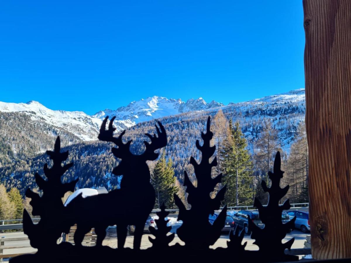 Chalet Selva Isolaccia Kültér fotó